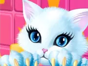 Hình ảnh game Chăm Sóc Công Chúa Kitty